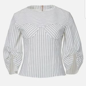 Tibi 8 Cecil Stripe Peplum Corset Top